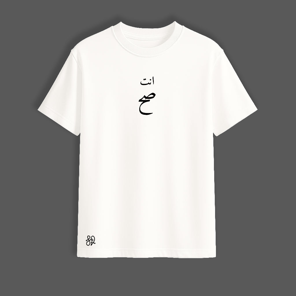 You Are Right Oversized White T-Shirt | Minimal Arabic Typography by TRBL